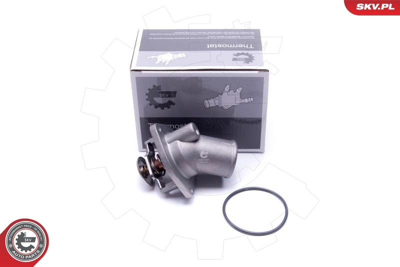 Thermostat, coolant